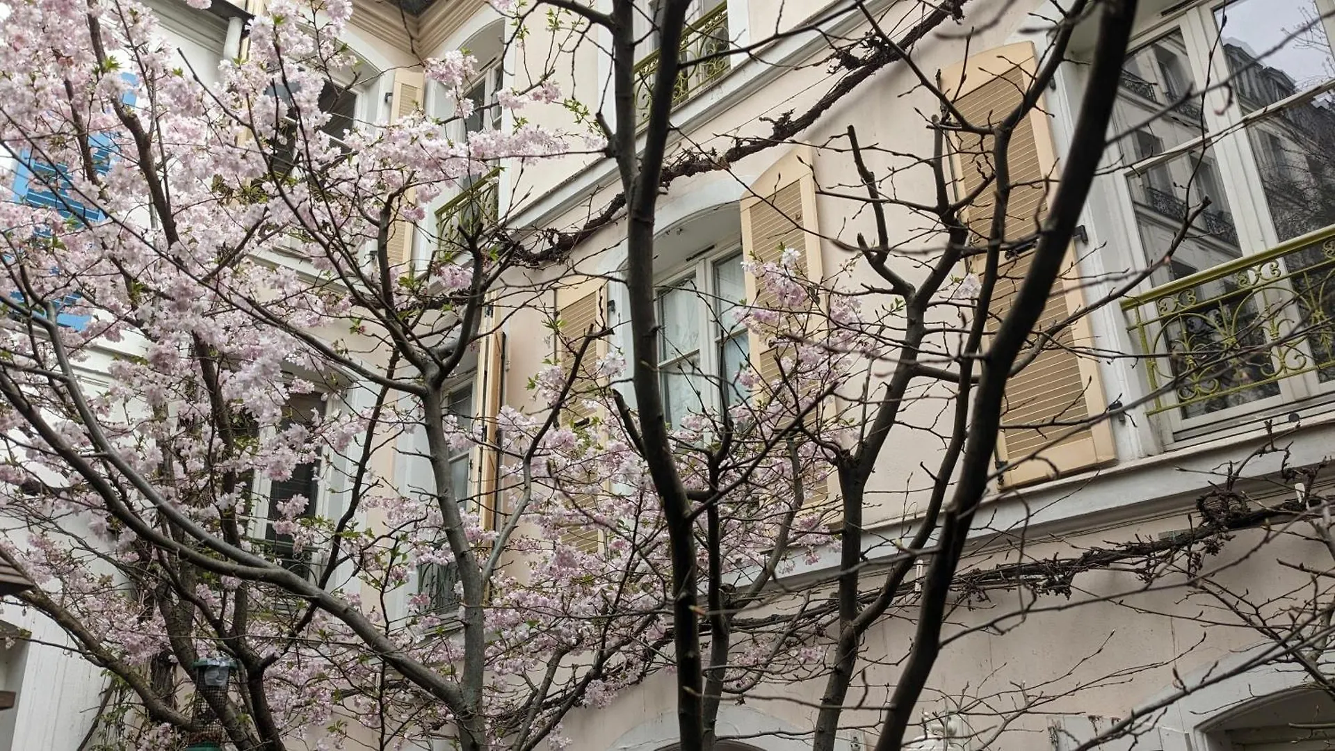 D'hotes Calmes Sur Jardin Batignolles 게스트하우스